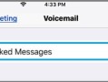 在 iPhone 上屏蔽电话号码后会发生什么