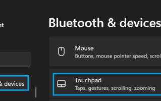 修复：Windows 11/10 鼠标光标消失不见