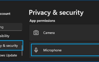 修复：Windows 11 麦克风无法工作