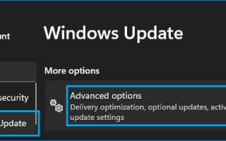 如何在 Windows 11/10 中更新和重装驱动程序