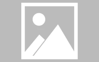 修复：谷歌地图语音导航不工作
