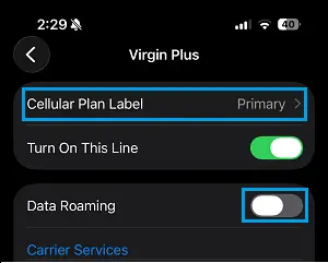 如何在 iPhone 上启用和使用呼叫等待-第5张图片-致知笔记 - 专注教程知识分享 如何在 iPhone 上启用和使用呼叫等待-第5张图片-致知笔记 - 专注教程知识分享