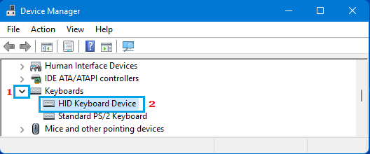 修复：Windows 11/10 键盘无法使用-第1张图片-致知笔记