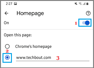 如何在 Google Chrome 中设置主页-第4张图片-致知笔记