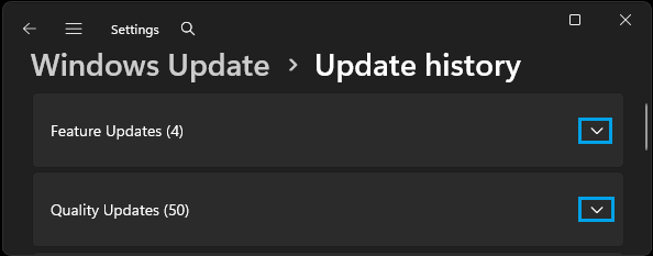 如何在 Windows 10/11 中查看已安装的更新-第2张图片-致知笔记