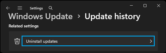 如何在 Windows 10/11 中查看已安装的更新-第3张图片-致知笔记